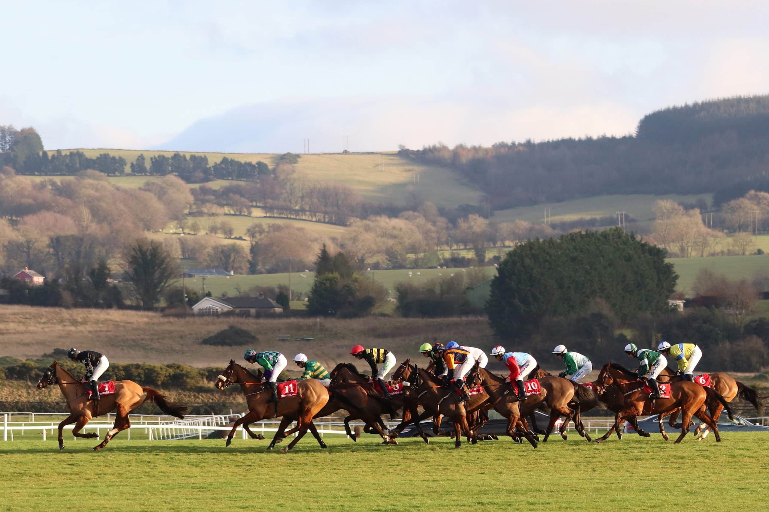 Runners at Punchestown