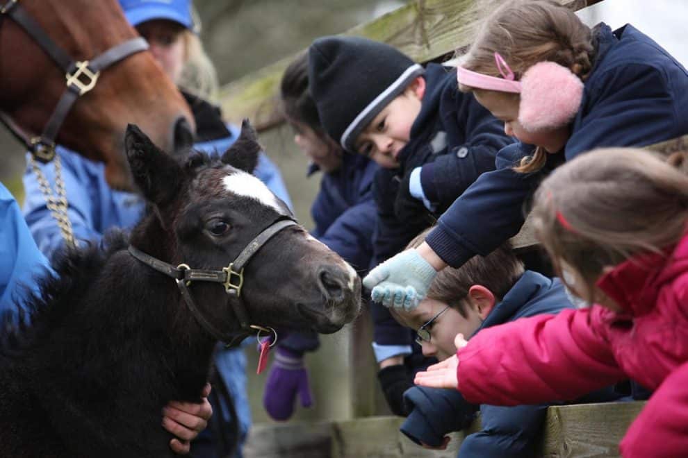 INS_Children meeting newborn foal