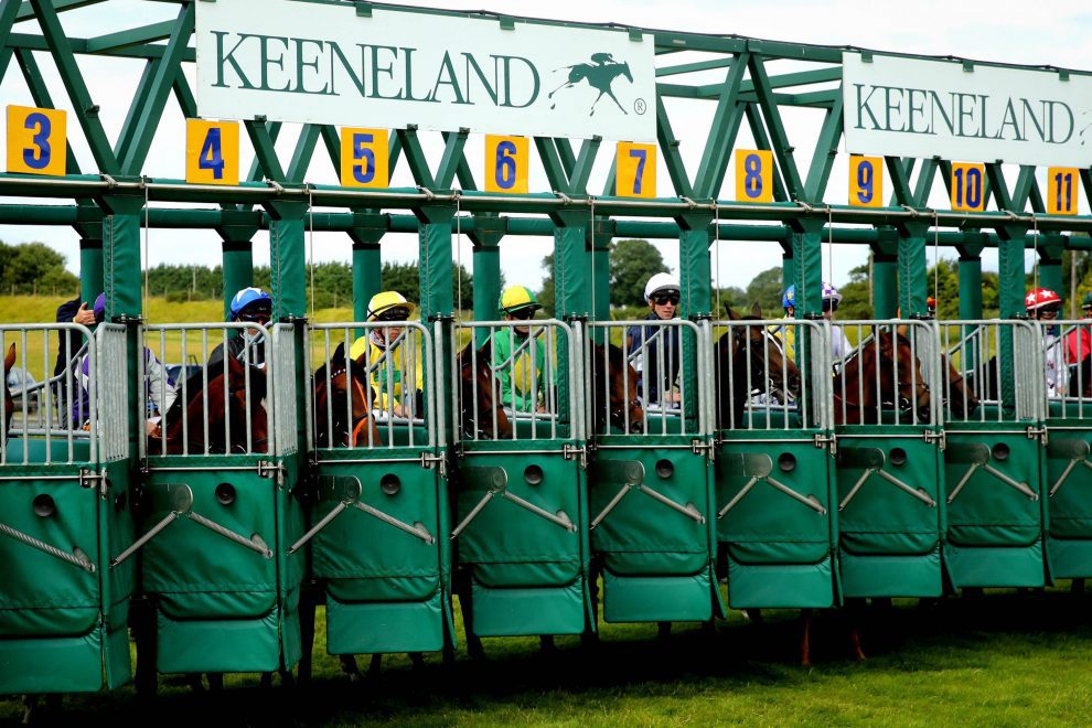 Runner in the starting stalls at The Curragh