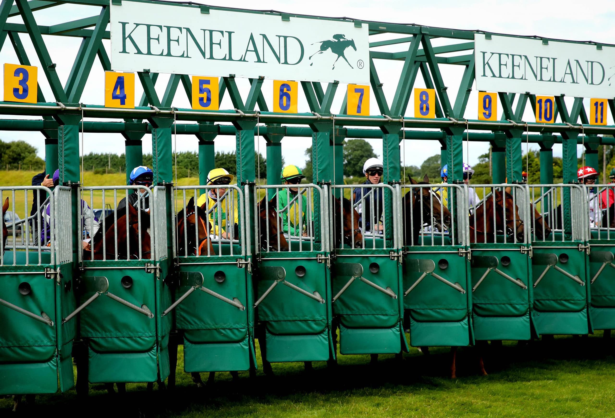 Runner in the starting stalls at The Curragh